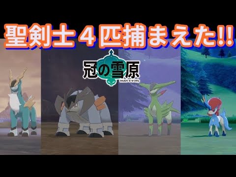 冠の雪原 コバルオン テラキオン ビリジオン ケルディオの捕まえ方 ポケモン剣盾 Youtube