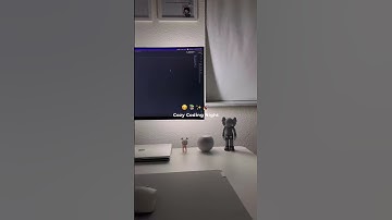 Cozy Coding Night ✨📚