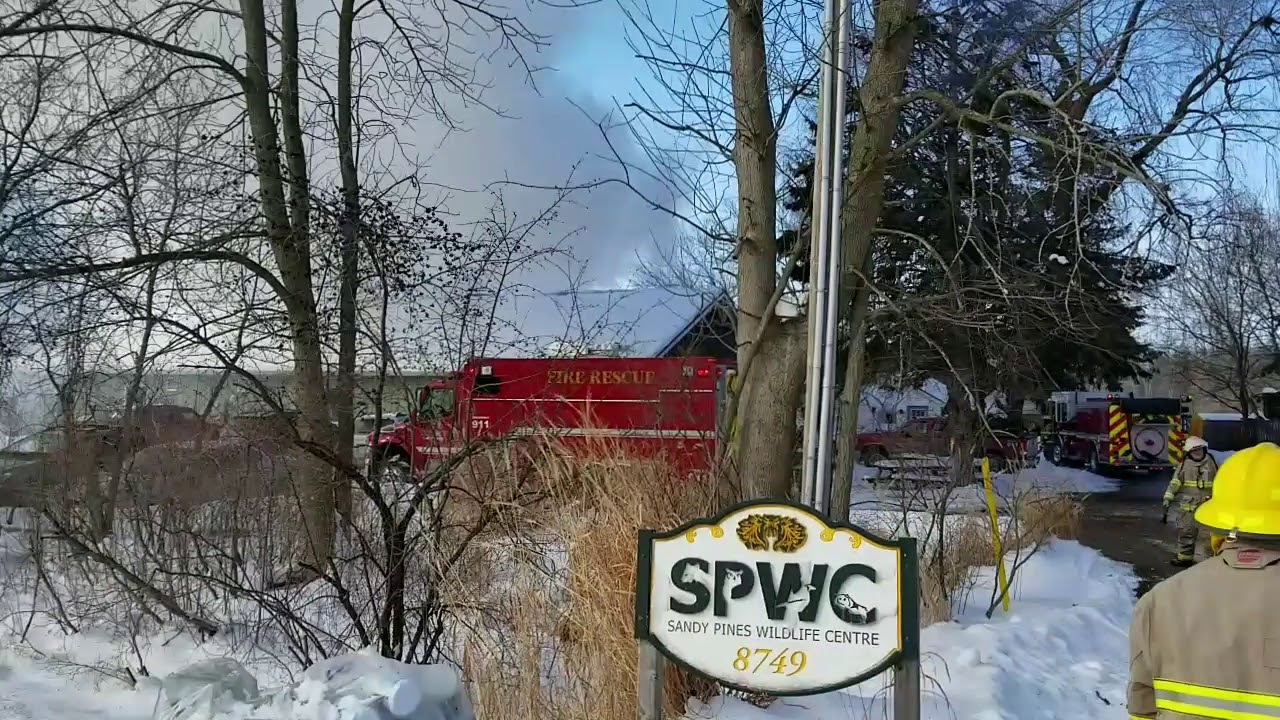 Barn Fire At Sandy Pines Wildlife Centre Jan 5 2018 Youtube