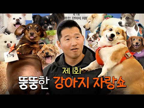 제1회 뚱뚱한 강아지 자랑쇼
