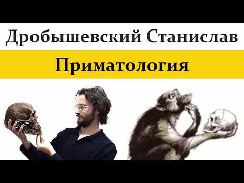 🐵 Дробышевский С.