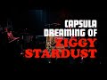 Capture de la vidéo Dreaming Of Ziggy Stardust - Capsula (Live)