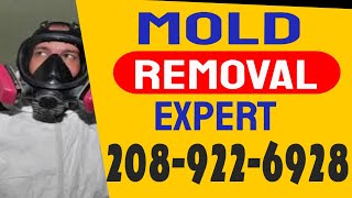 Crawl Space Mold Remediation Caldwell Id  - Crawl Space Mold Removal Caldwell Id 