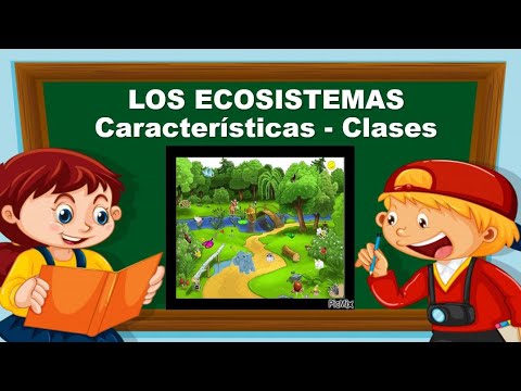 Video: ¿Cuáles son las características de un ecosistema?