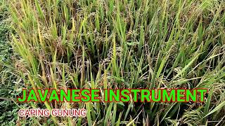 Javanese Instrumen caping gunung, caping gunung no copyright