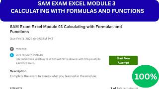Celebrity SAM Exam Excel Module 3 Calculating with formulas and functions #samexam #excelmodule3 Net Worth