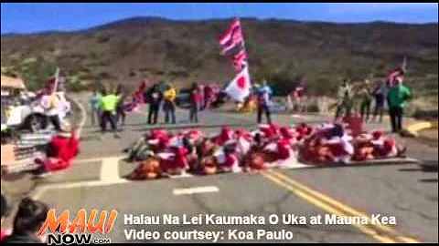 Halau Na Lei Kaumaka O Uka at Mauna Kea performing Manono amid Demonstration Against TMT