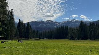Arnold Meadows Live Stream
