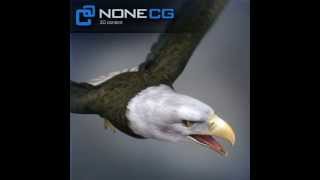 Eagle 3D Model | Animals Birds 3D Models | max, 3ds. c4d, obj, lwo screenshot 5