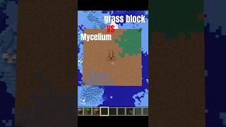 Grass block 🌱vs mycelium 🍄🗿 #minecraft