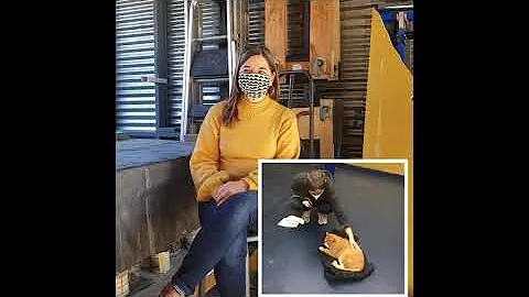 TGTG ActionNEWS: Jodi Connelly "Lance: Cat/Art Cri...
