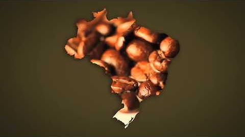 Brazil Map Kit After Effects Template