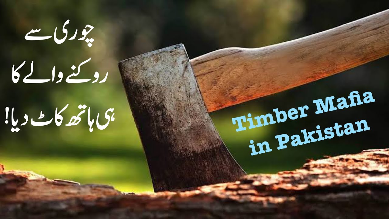 Timber Mafia in Pakistan Urdu Story 2023 Dr Akhtar Abbas Khan YouTube