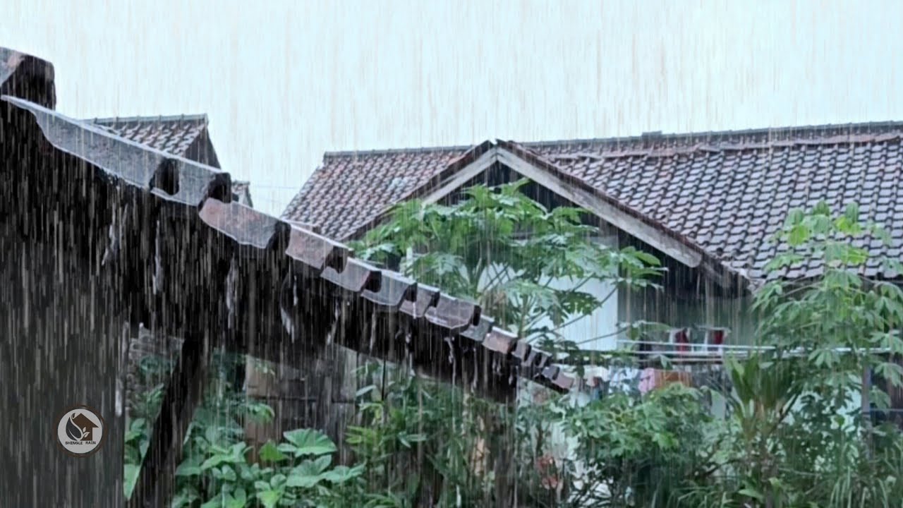 Спокойный дождь на жестяной крыше | Естественная сельская атмосфера дождя