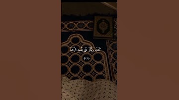تلاوة خاشعة 🥹💔#سعد_الغامدي #تلاوة_خاشعة #قران_كريم #راحة_نفسية