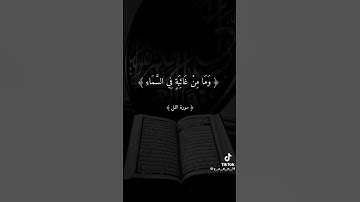 وَإِنَّ رَبَّكَ لَيَعْلَمُ مَا تُكِنُّ صُدُورُهُمْ وَمَا يُعْلِنُونَ - القارئ أحمد العجمي 🌿💚
