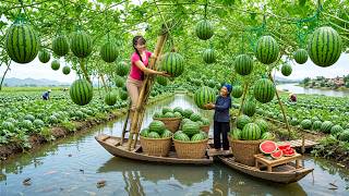 5000KG Of Watermelons Will Be Processed | Modern & Traditional Methods screenshot 5