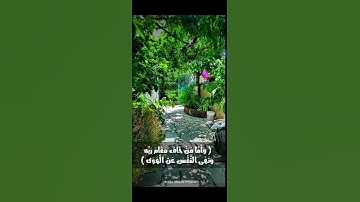 القارئ اسلام صبحي.. حالات واتساب 💚