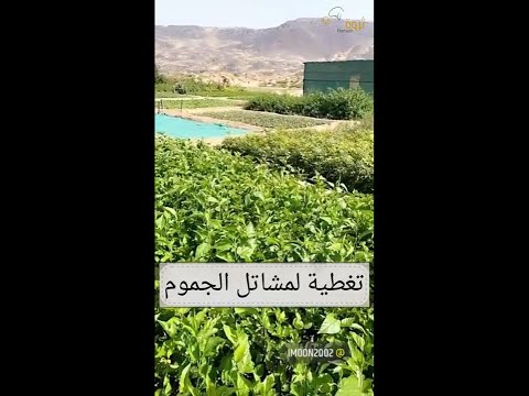 للمهتمين بالشتلات الزراعية تغطية لمشاتل الجموم لا تفوتكم الحلقة