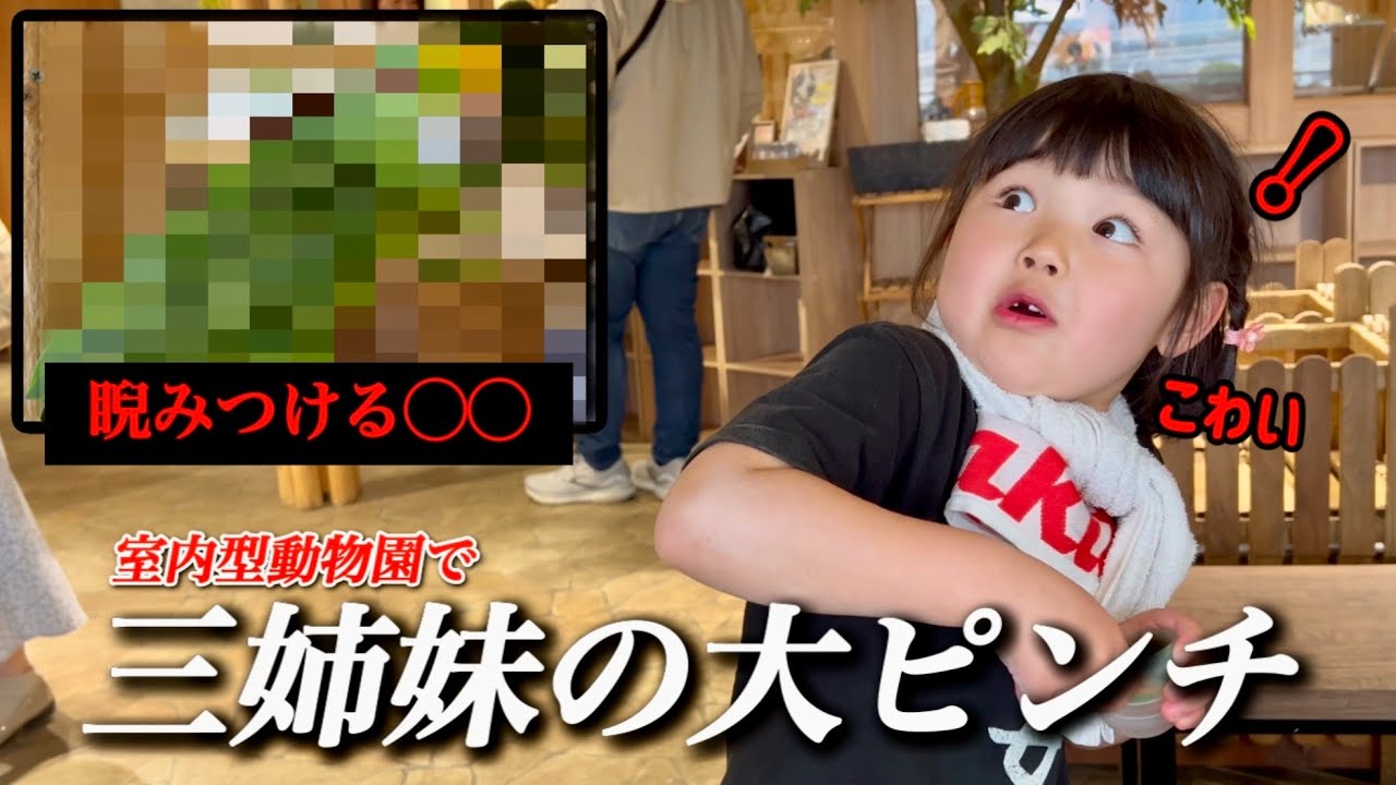 【室内の動物園】三姉妹はずっと◯◯に狙われているｗ三姉妹に苦手な動物？三女も大泣きしてしまう？一体何が？