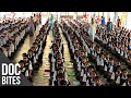 The Biggest School in the World | Did You Know? | Doc Bites