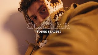 Young Seagull - GLACIAR