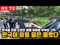 한국을 첫 방문하며 불안해했던 유튜버 부부가, 하루 만에 한국에 푹 빠져버린 이유(해외 영상)