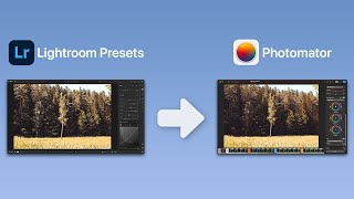 Transfer a Lightroom Preset to Photomator