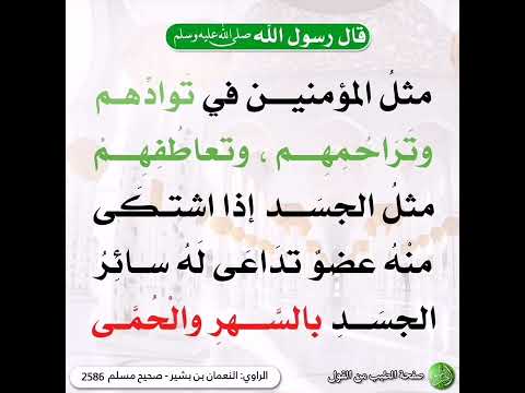 حديث مثل المؤمنين في توادهم وتراحمهم وتعاطفهم مثل الجسد اذا اشتكي منه عضو تداعي له سائر الجسد