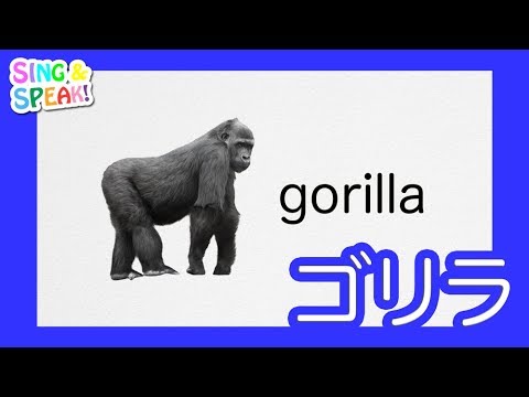 ゴリラ Gorilla 発音 | SING and SPEAK - YouTube