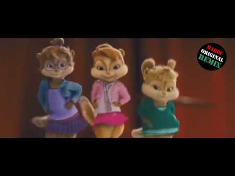 جديد السناجب يغنون قهوة ل احمد شوقي 😃😃Ahmed Chawki Qahwa remix 2017