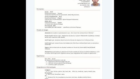 simple curriculum vitae html template - cv