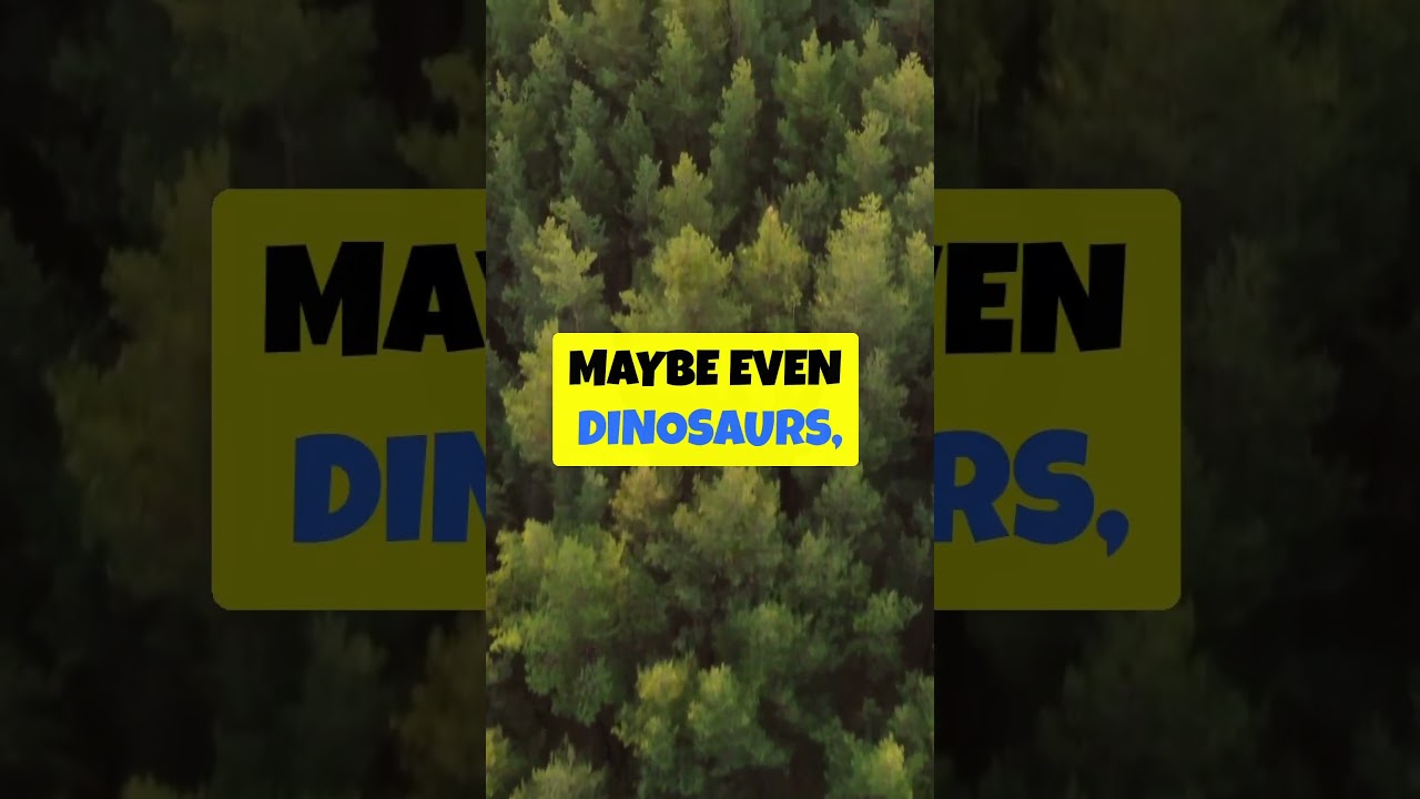 Dinosaurs in the Quran? 🦖