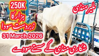 Malir Mandi Karachi Latest Rates Updates 31 March 2026 250 Mein Vip Soda Hoa