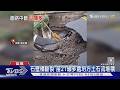 颱後山區再崩 巨人之手封路遊客別硬闖｜TVBS新聞 @TVBSNEWS01