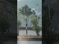 Travel I Nature I Peace #shortsvideo #travel #shortsfeed #viral