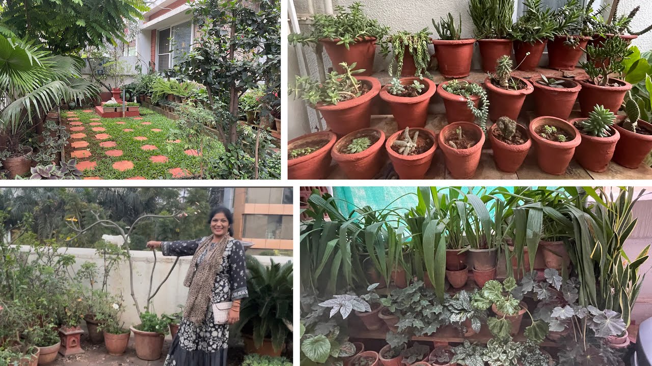 My friend’s garden ! Collected so many plants and cutting’s 😊🌱🪴