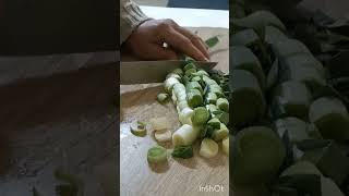 2025 E Sani̇yeler Kala..