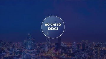 Bộ chỉ số đánh giá năng lực cạnh tranh cấp Sở, Ngành, Địa phương – DDCI Thành phố Hồ Chí Minh