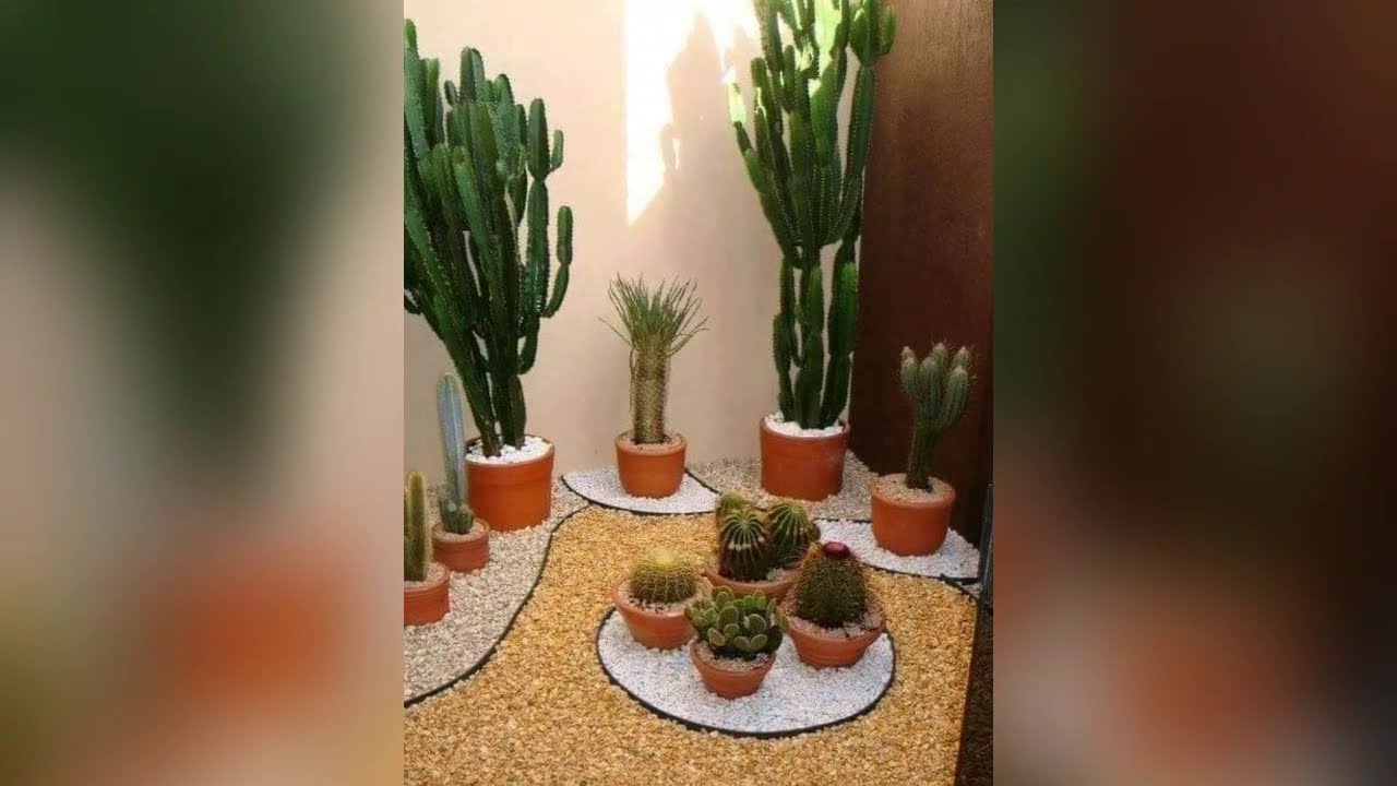 Inspirasi taman - YouTube