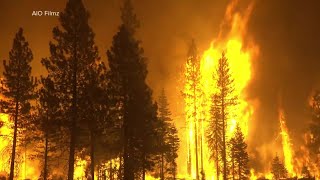 Hometown Hero: Tennessee Department of Agriculture Firefighters