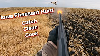 WILD Iowa Pheasant Hunt (Catch, Clean, Cook) | It's a yearly tradition hunt!