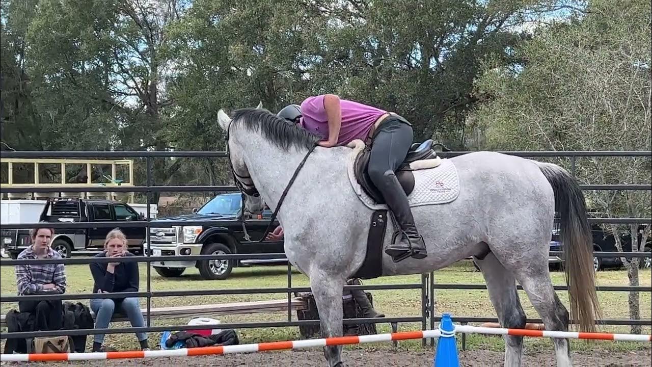 Teaching A Horse To Lower His Head Under Saddle… With Tik Maynard YouTube
