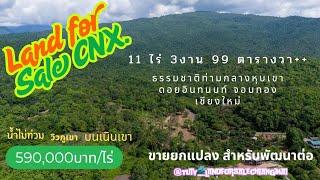 EP6_1 ขายที่ดินเชิงเขา11ไร่ 3งาน99ตรว.ยกแปลง  7ล้านบาทถ้วน ฟรีโอน ก่อนดอยอินทนนท์ จอมทอง เชียงใหม่🇹🇭