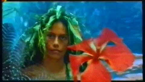 Nomads of the wind   - Polynesians Part 1/5