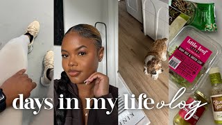 VLOG : Post Vacay Reset, Skincare Essentials, Cooking, Haul, Work Outs, etc. | #SunnyDaze 154