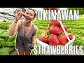 Coffee  strawberry picking near kadena air base  okinawa vlog