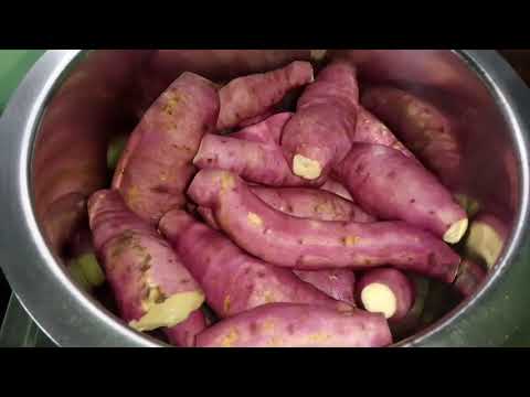 చిలగడ దుంపలని ఇలా ఒకసారి ఉడికించి తినండి😋 ||sweet potato boiled  #telugu # ganusugaddalu