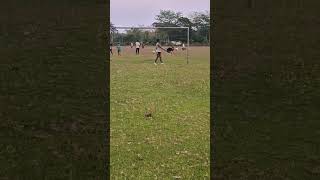 Football Skill Training #viralvideo #shorts #youtubeshorts #football #skills #video #skills #soccer
