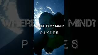 #whereismymind #pixies #rock #music #song #shortsfeed #short #shortsvideo #shorts @TheHillsL